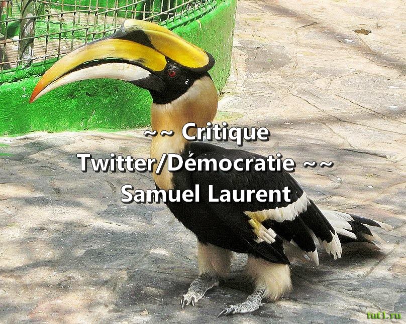 ~~ Samuel Laurent Twitter/Démocratie : Critique Litt… ~~